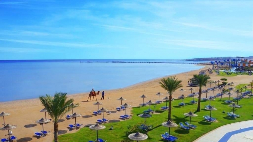 19490537371696790028