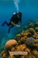 Coral Diving in Neom – الغوص في شعاب نيوم المرجانية