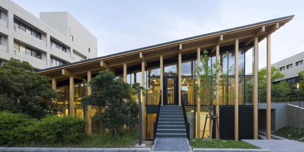 "ارتفاع غير مسبوق في تنسيق كلية السياحة والفنادق 2025" يغير خريطة القبول الجامعي