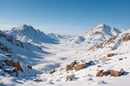 جبل اللوز مغطى بالثلوج في فصل الشتاء