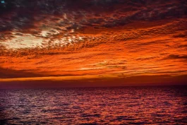 نزلاء يوثّقون لحظات غروب في فندق مطلّ على البحر الأحمر