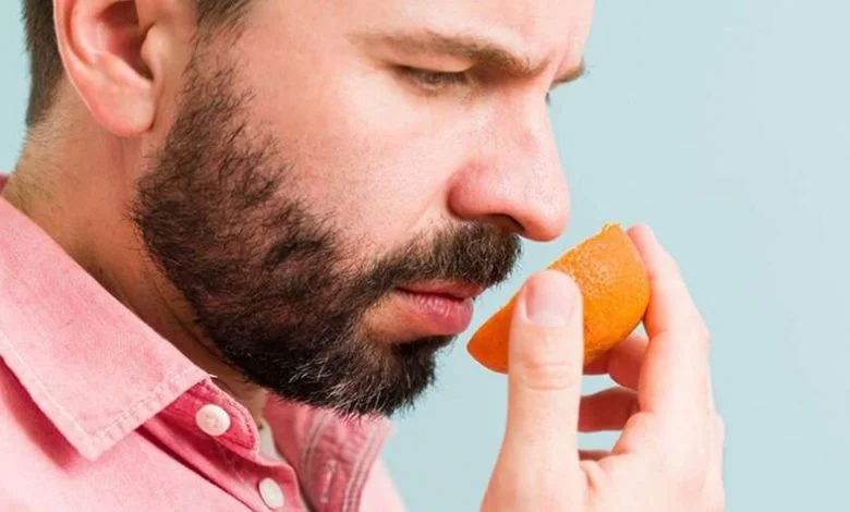 حاسة الشم… البوابة الأولى للذاكرة