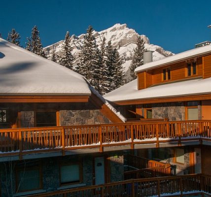 ذا فوكس هوتل