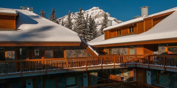 ذا فوكس هوتل