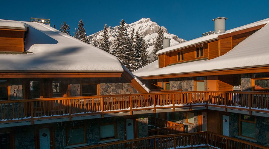 ذا فوكس هوتل