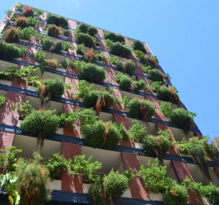فندق Nest 1